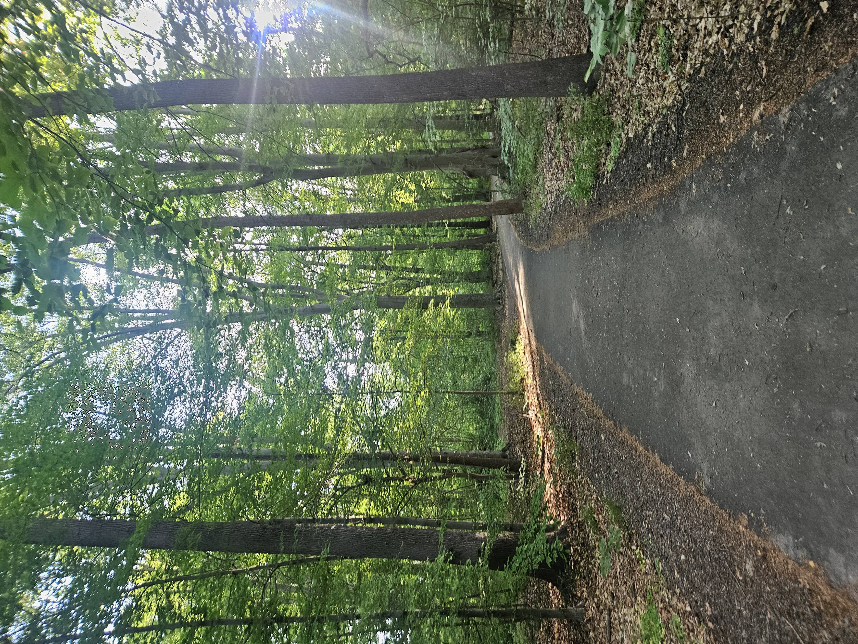 About Us | Greenbriar Civic Association